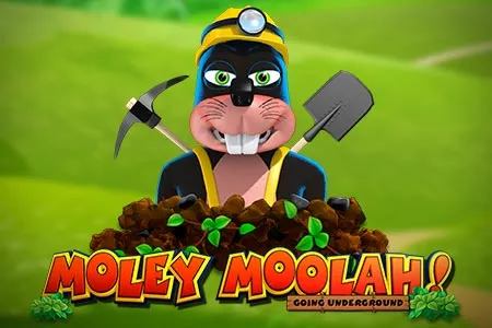Moley Moolah